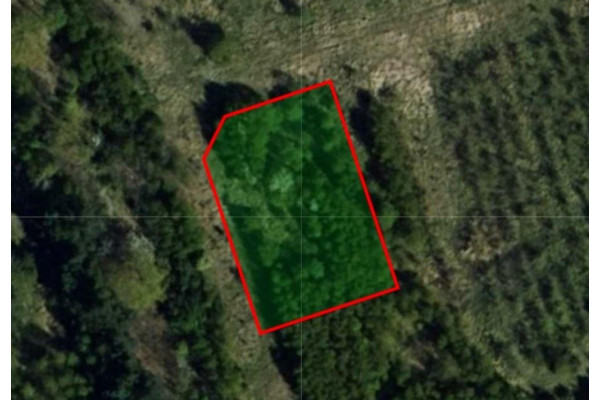 kujawsko-pomorskie, włocławski, Choceń, Szczutkowo, Działka 1325 m2 | Szczutkowo | Kujawsko-pomorskie
