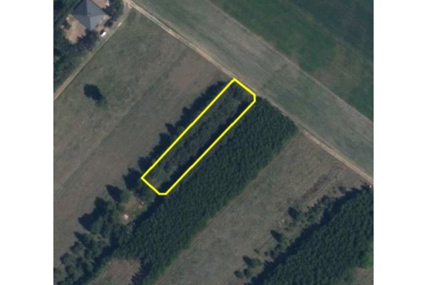 mazowieckie, żyrardowski, Radziejowice, Korytów, Familijna, Działka 1 645m2 | Korytów | Mazowieckie