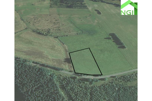 lubuskie, zielonogórski, Nowogród Bobrzański, Niwiska, Działka budowlana | Niwiska | 10 079m2!
