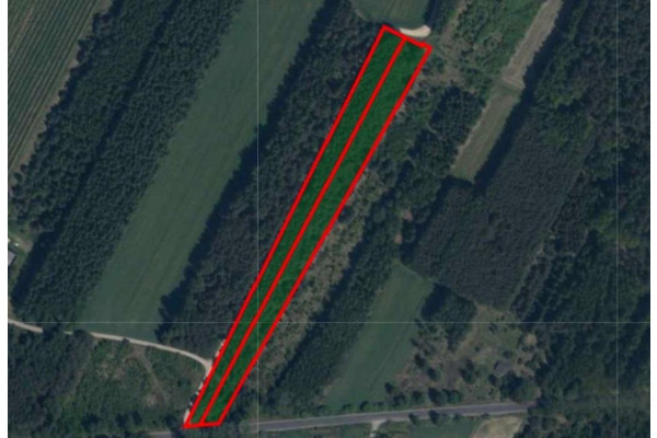 mazowieckie, żyrardowski, Mszczonów, Długowizna, Działki 10 700m2 | Długowizna | Mazowieckie