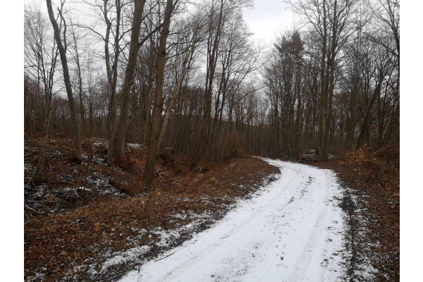 pomorskie, gdański, Działka 3020m2 | Pręgowo Górne | Pomorskie