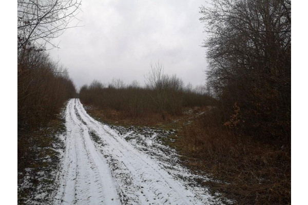 pomorskie, gdański, Działka 4853m2 | Pręgowo Górne | Pomorskie